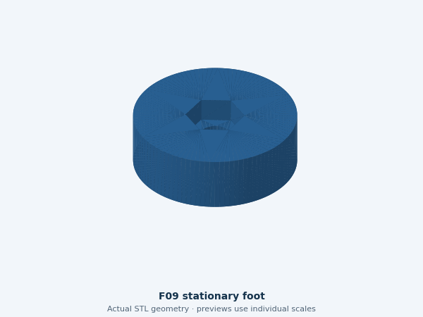 Actual STL geometry of F09 stationary foot